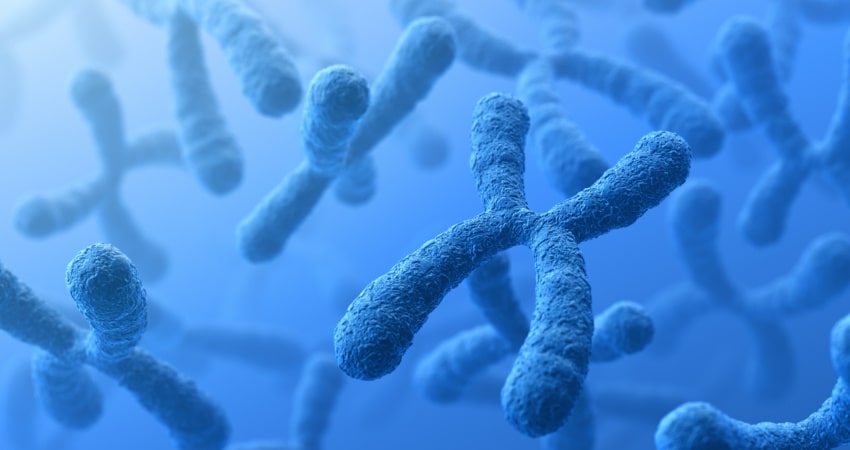 2020-1205-cromosoma-min